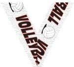 Volleyball Medals - 2.25' Silver Volleyball Team Medal Awards Prime