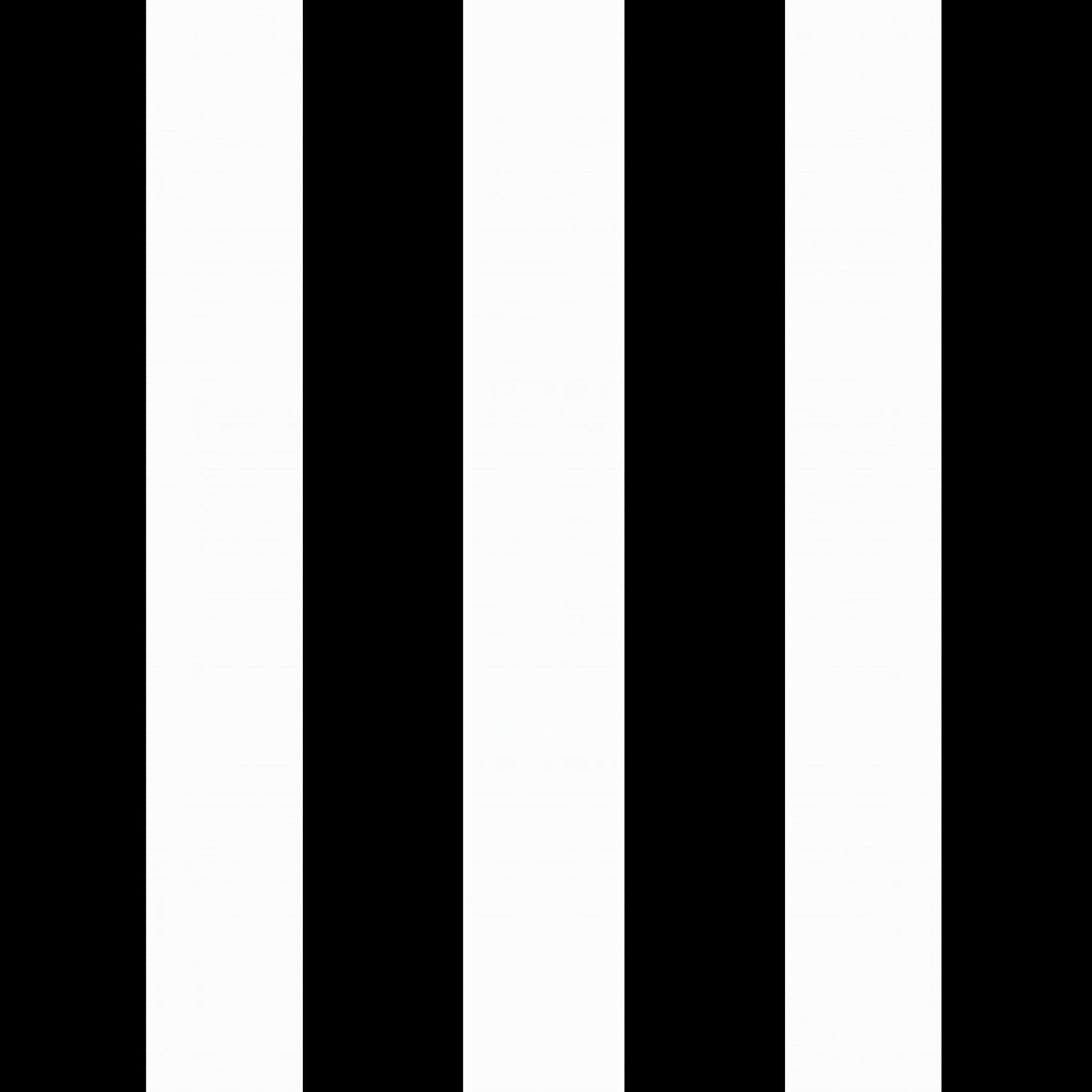 Arden Outdoor Loveseat Cushion Set, 48 x 24, Water Repellent, Fade Resistant, Cushion Set for Couch, Bench, and Swing, Black Cabana Stripe