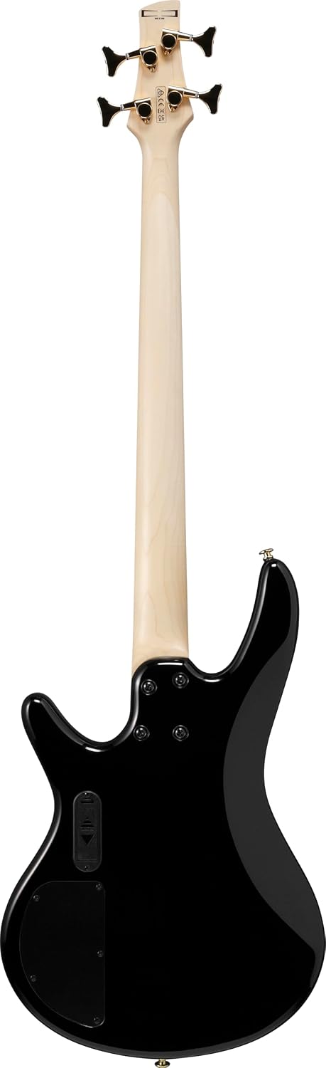 Ibanez Gio GSR200PC 4-String Right-Handed Electric Bass Guitar with Okoume Body, Maple Neck, and Purpleheart Fretboard (Transparent Marine Burst)
