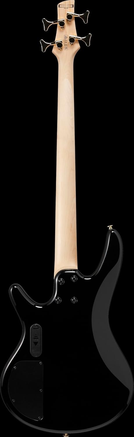Ibanez Gio GSR200PC Bass Guitar - Transparent Pale Black Burst