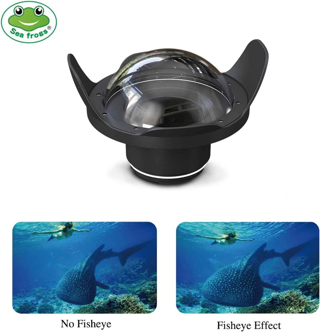 Seafrogs Underwater Housing for Sony A7M4 A7 IV + WA005-A 6 Inch Dome Port Kit [40M/130FT] Waterproof Case for Sony Alpha7 IV (ILCE-7M4 a74) +28-70mm F3.5-5.6, 24-70mm F2.8 GM Lens