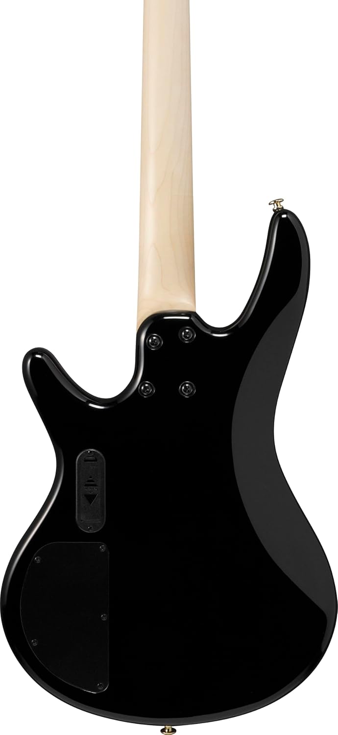 Ibanez Gio GSR200PC 4-String Right-Handed Electric Bass Guitar with Okoume Body, Maple Neck, and Purpleheart Fretboard (Transparent Marine Burst)
