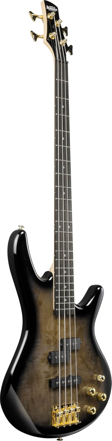 Ibanez Gio GSR200PC Bass Guitar - Transparent Pale Black Burst