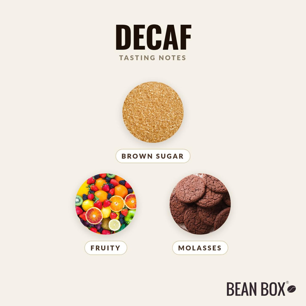 Decaf - Roasted by Devocion - Whole Bean Coffee - 5 Pound Bag