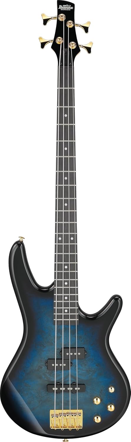 Ibanez Gio GSR200PC 4-String Right-Handed Electric Bass Guitar with Okoume Body, Maple Neck, and Purpleheart Fretboard (Transparent Marine Burst)