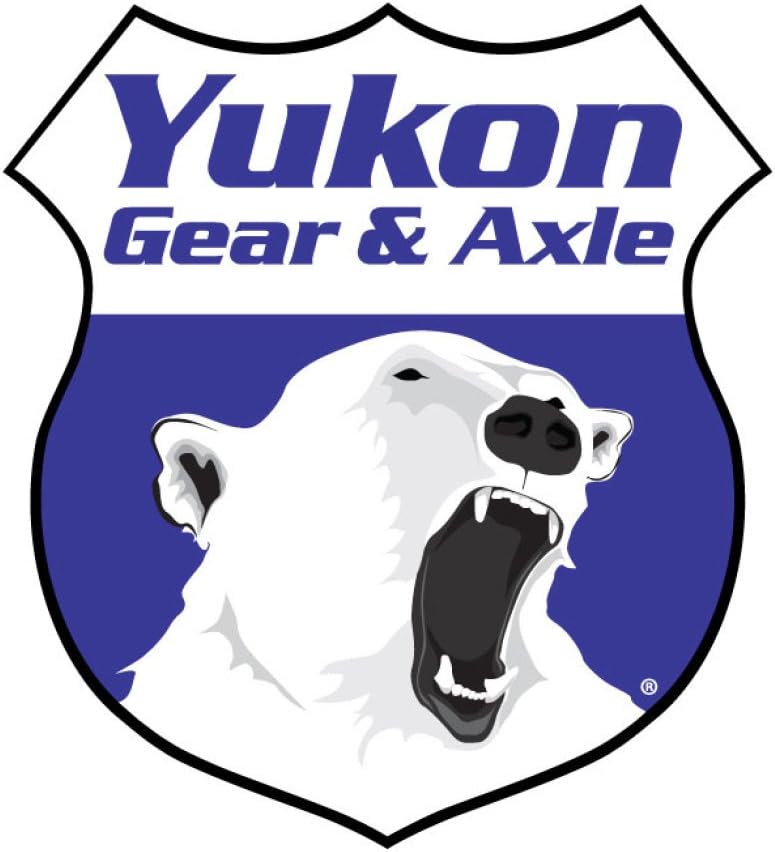 Yukon Master Overhaul kit for Model 20 Differential