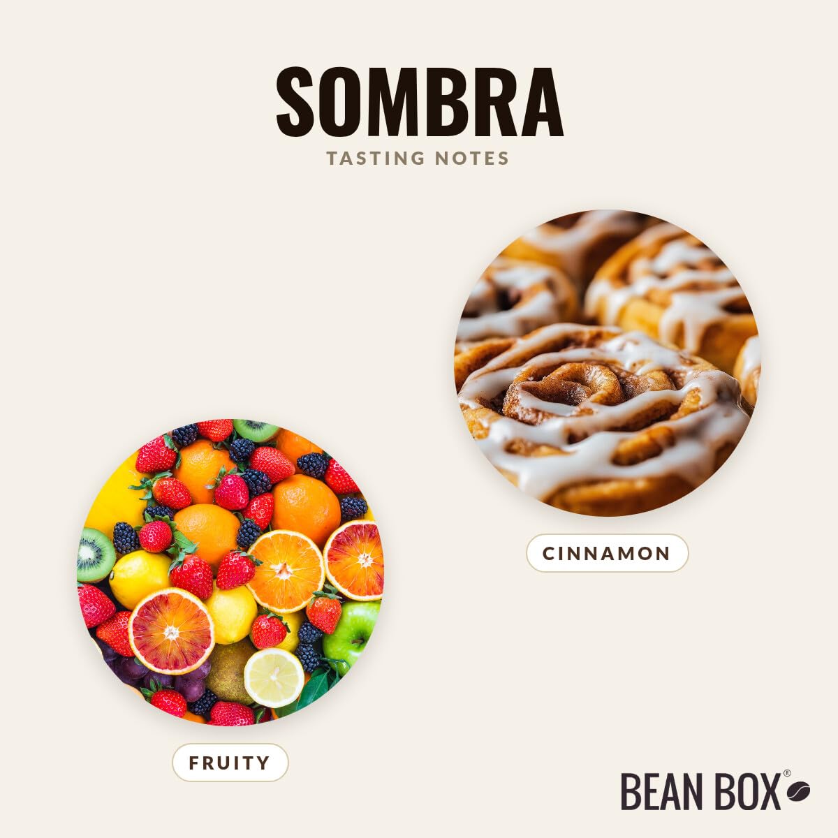 Sombra - Roasted by Devocion - Freshly Ground Coffee - 5 Pound Bag