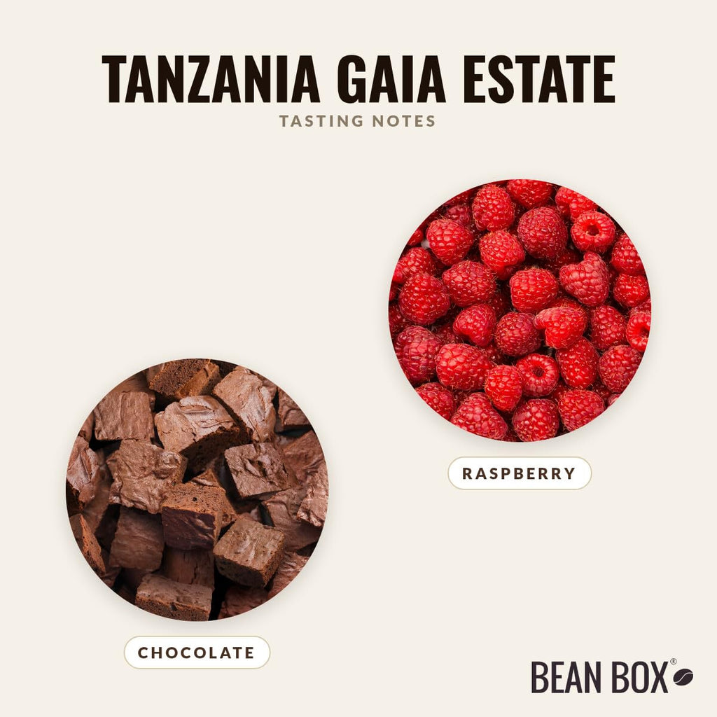 Tanzania Gaia Estate - Roasted by Drink Coffee Do Stuff - Whole Bean Coffee - 5 Pound Bag