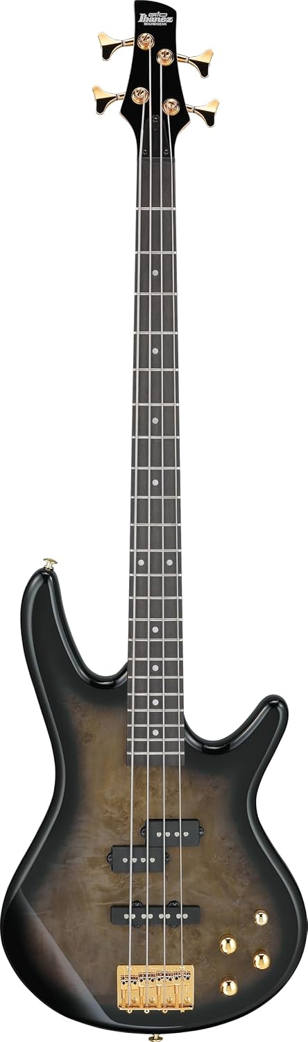 Ibanez Gio GSR200PC Bass Guitar - Transparent Pale Black Burst