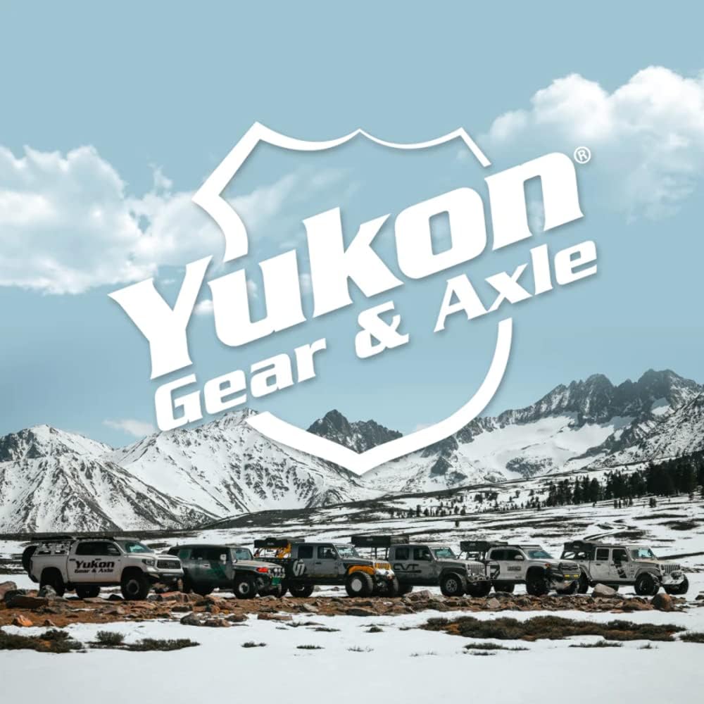 Yukon Master Overhaul kit for Model 35 Differential