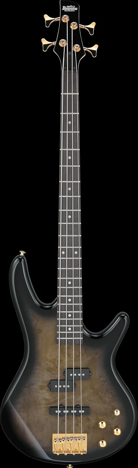 Ibanez Gio GSR200PC Bass Guitar - Transparent Pale Black Burst