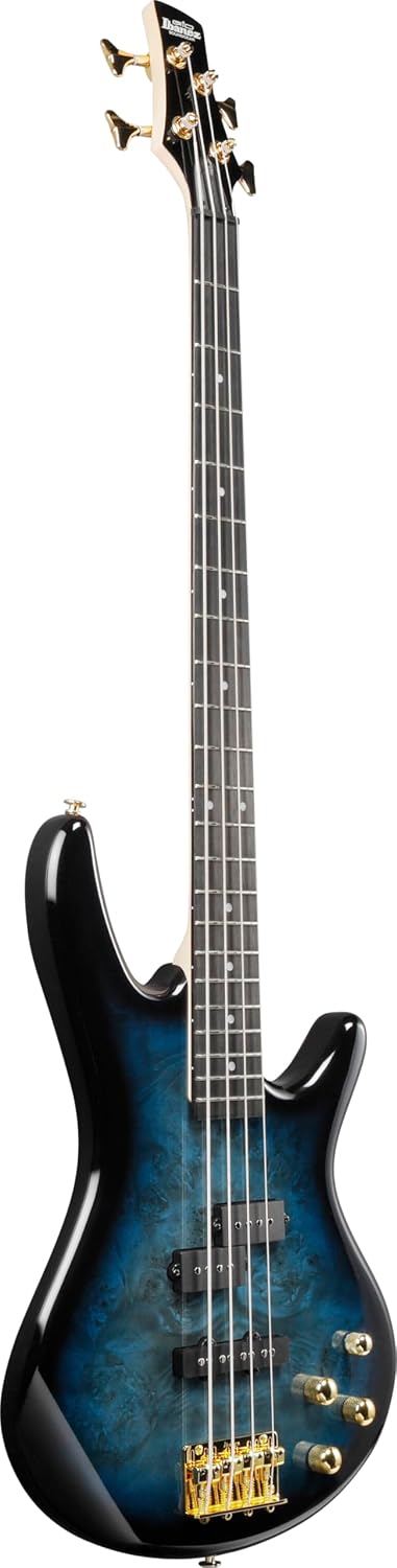 Ibanez Gio GSR200PC 4-String Right-Handed Electric Bass Guitar with Okoume Body, Maple Neck, and Purpleheart Fretboard (Transparent Marine Burst)