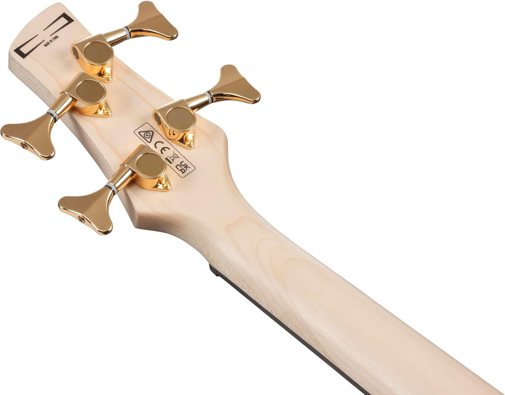 Ibanez Gio GSR200PC 4-String Right-Handed Electric Bass Guitar with Okoume Body, Maple Neck, and Purpleheart Fretboard (Transparent Marine Burst)