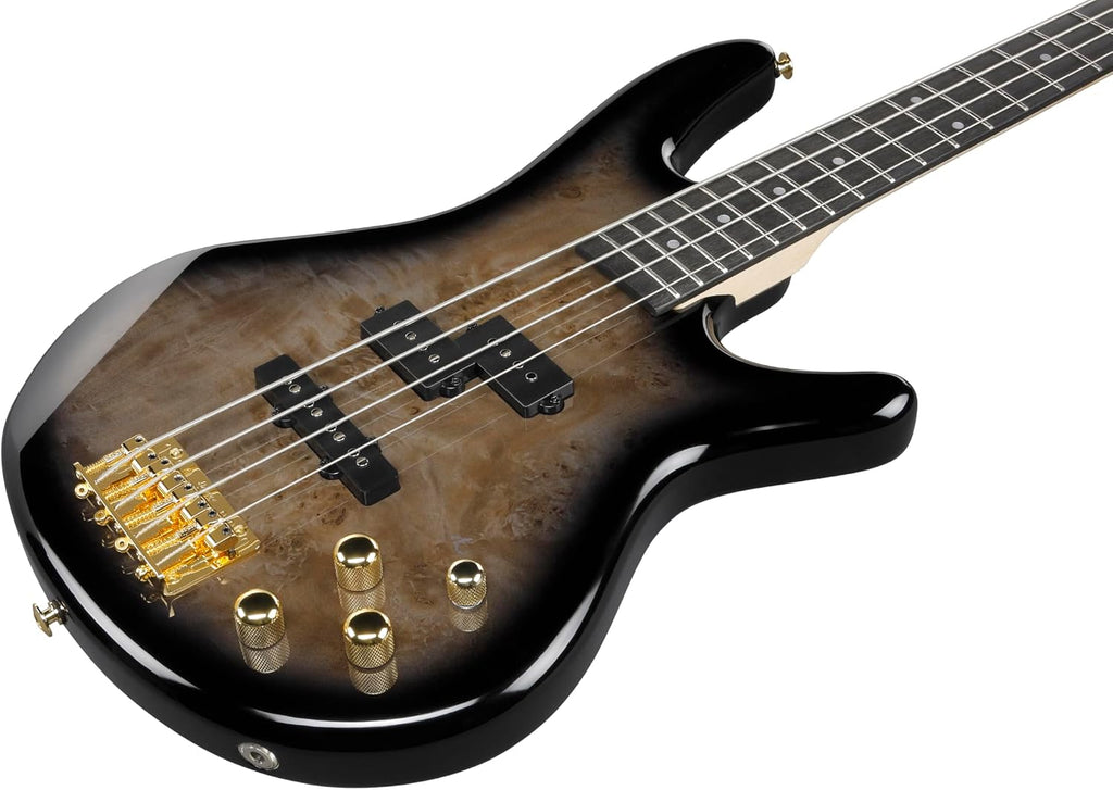 Ibanez Gio GSR200PC Bass Guitar - Transparent Pale Black Burst
