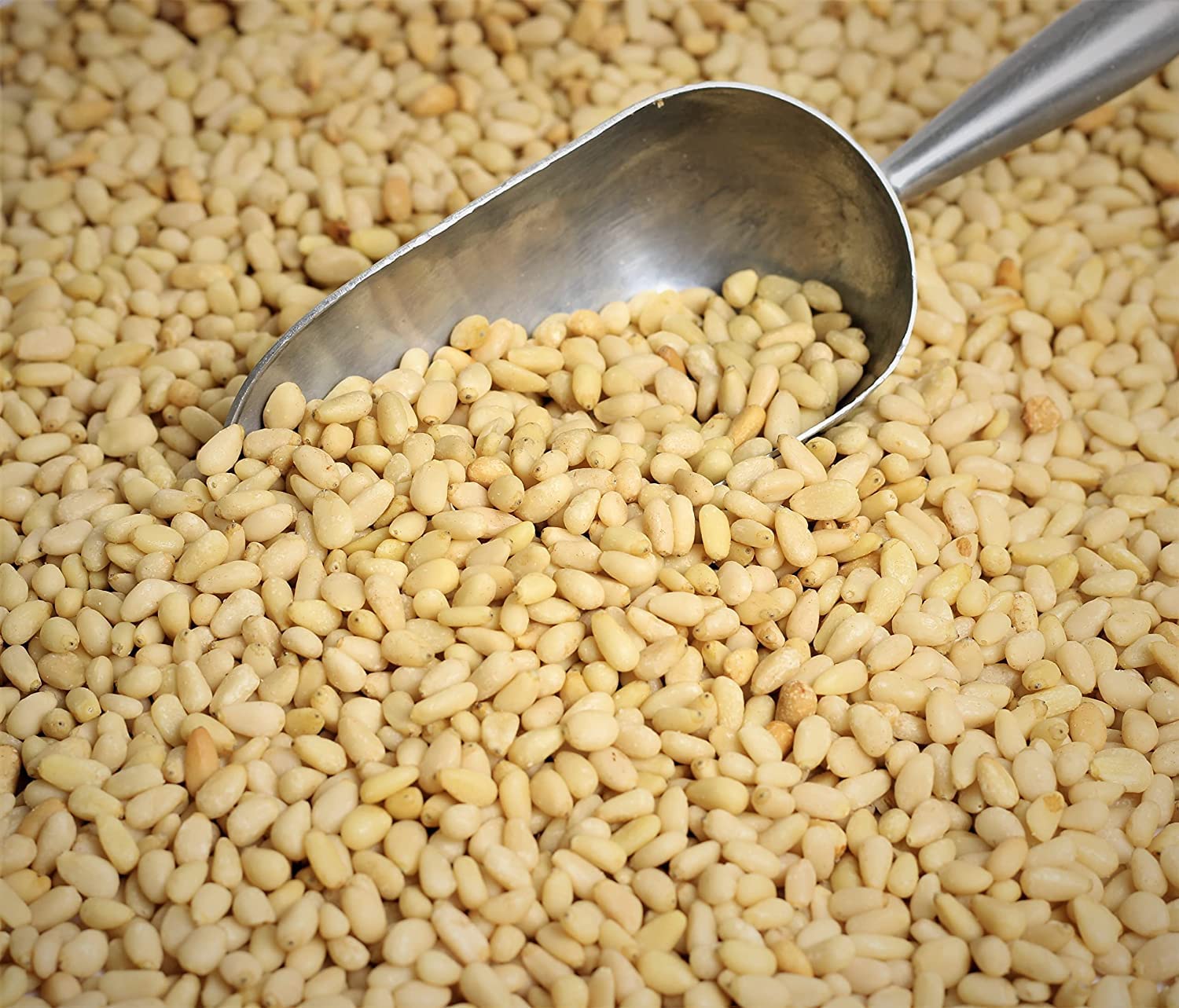 Pine Nuts Raw by It's Delish, 10 lbs Bulk | Unsalted Raw Pine Nuts for Baking, Pesto or Salads | Natural and Kosher Pine Nuts for Vegan Snacking