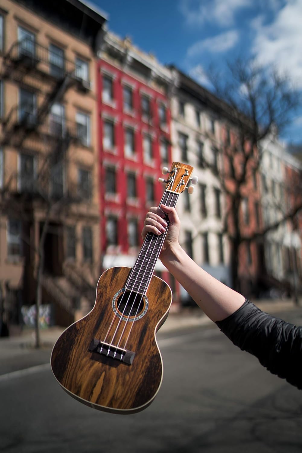 Cordoba 15CB Concert Ukelele Bocote