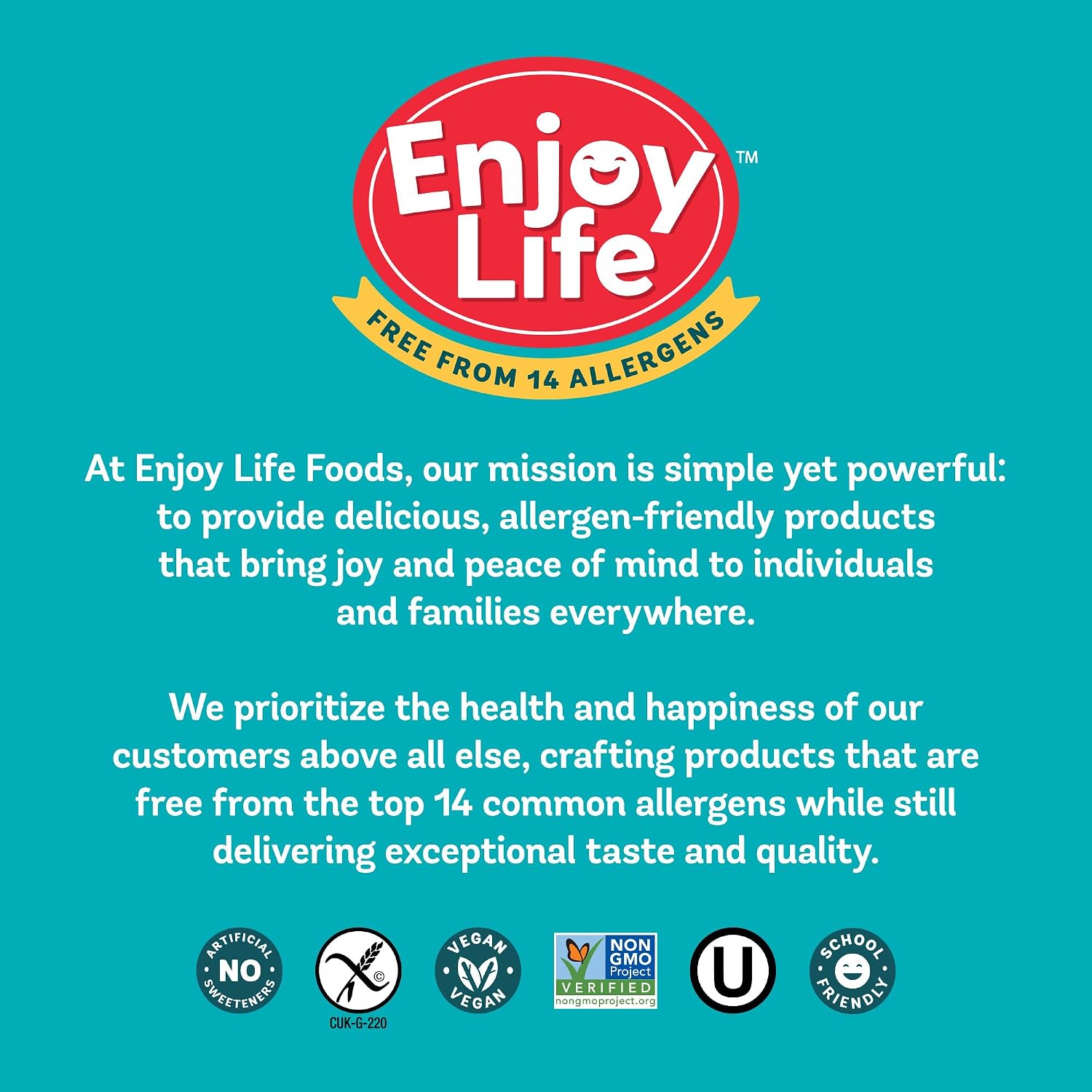 Enjoy Life Ricemilk Baking Morsels Milk Chocolate Flavor, Gluten Free, School Safe, Non GMO, Dairy Free, Soy Free, Vegan, Nut Free Chocolate, 12 Bags (9 oz) Bulk Chocolate