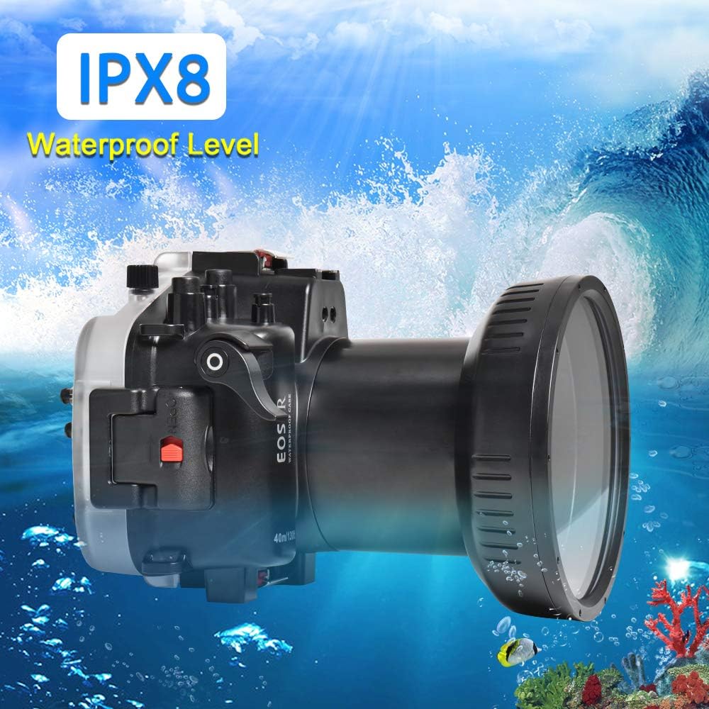 Seafrogs 40m/130ft Underwater Housing Waterproof Case for Canon EOS R, Compatible with 24-105mm Lens, for Underwater Photography or Videography