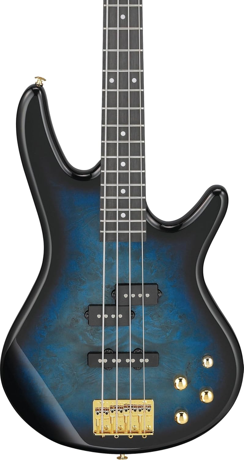Ibanez Gio GSR200PC 4-String Right-Handed Electric Bass Guitar with Okoume Body, Maple Neck, and Purpleheart Fretboard (Transparent Marine Burst)