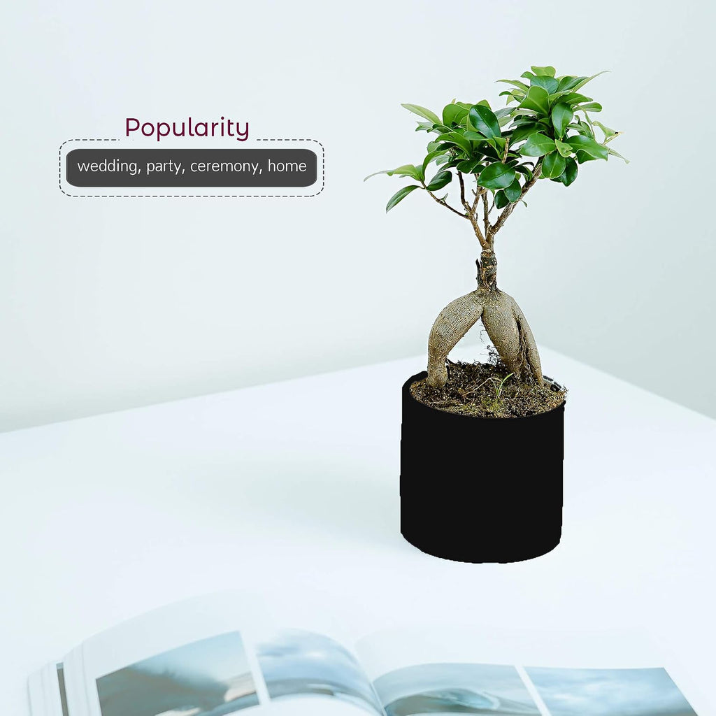WGVI Matte Black Ceramic Cylinder Vase Width 3.75' Height 4', Flower Arrangements, Candle Holder, Terrarium Planter Pot, Tabletop Storage Container Organizer Pen Brush Holder, Bulk Wholesale, 24 Pcs