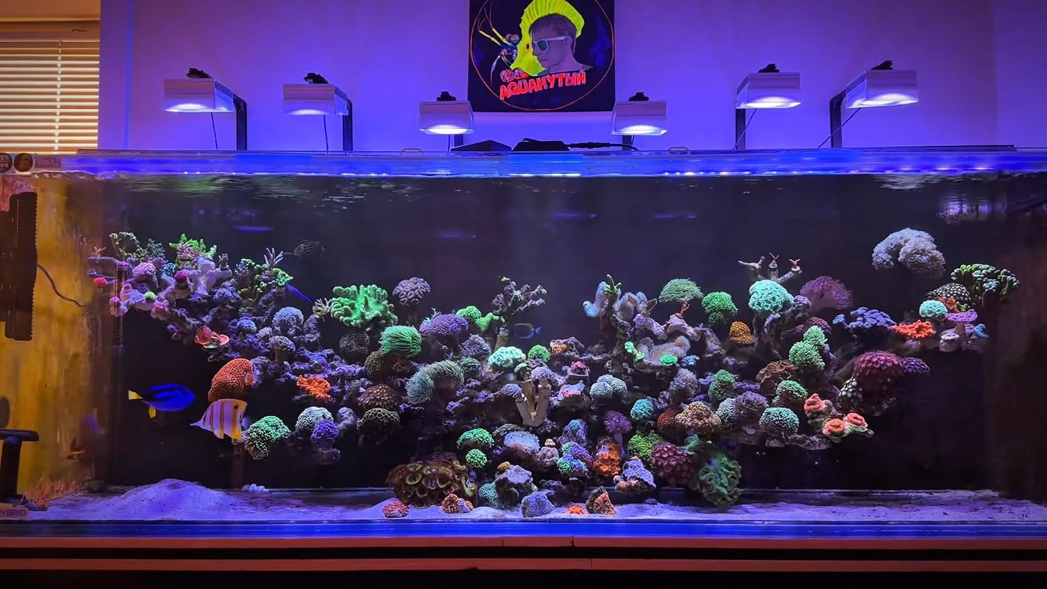 NEW PopBloom 3xRL115 WiFi & APP Programmable LED Reef Aquarium Light 360W for 60' 72' Marine SPS LPS Corals & Saltwater Tanks (RL115 with Arm Kitx3)