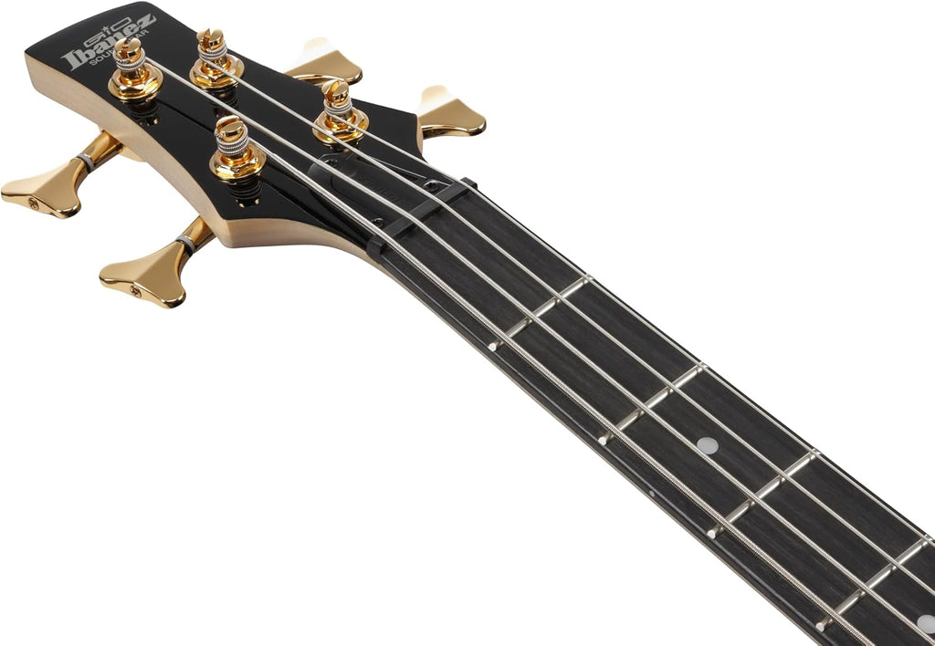 Ibanez Gio GSR200PC 4-String Right-Handed Electric Bass Guitar with Okoume Body, Maple Neck, and Purpleheart Fretboard (Transparent Marine Burst)