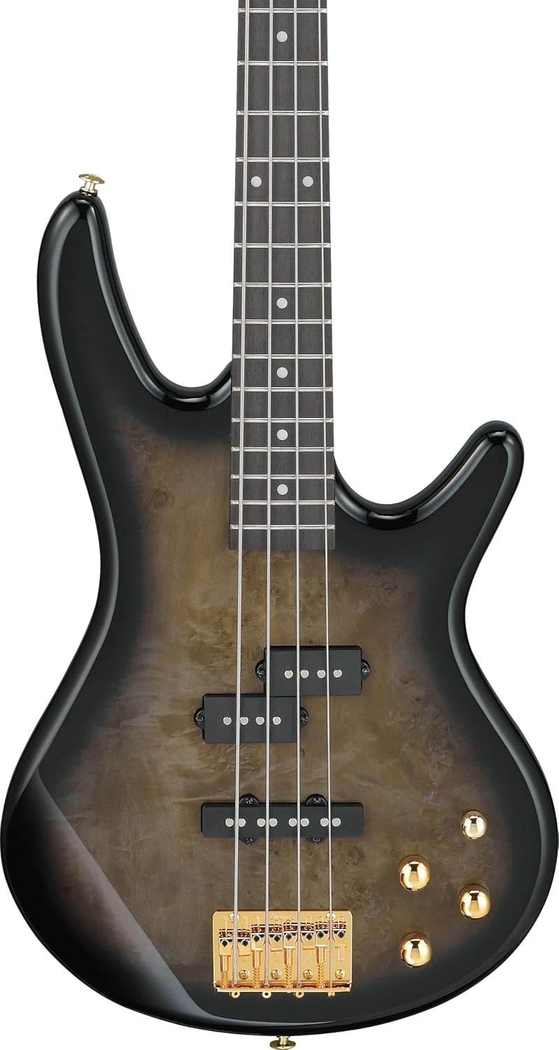 Ibanez Gio GSR200PC Bass Guitar - Transparent Pale Black Burst