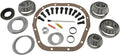 Yukon Master Overhaul kit for Ford 10.25' Differential