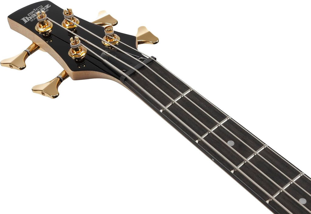 Ibanez Gio GSR200PC Bass Guitar - Transparent Pale Black Burst