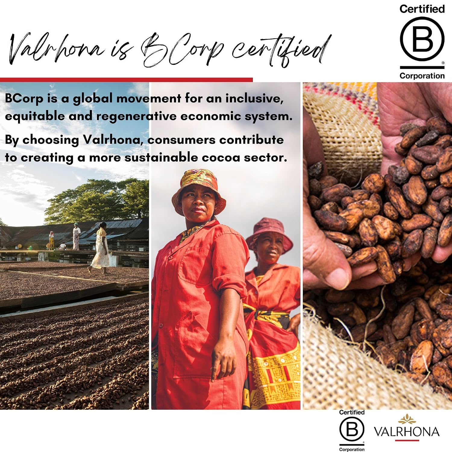 Valrhona Premium French Baking Dark Chocolate Discs (Feves). Classic GUANAJA 70% Cacao. Easy Melt. Easy to chop. Intense & Smooth with Bitter Notes. Sauces, Cakes, Mousses, Frostings 1kg (Pack of 1)