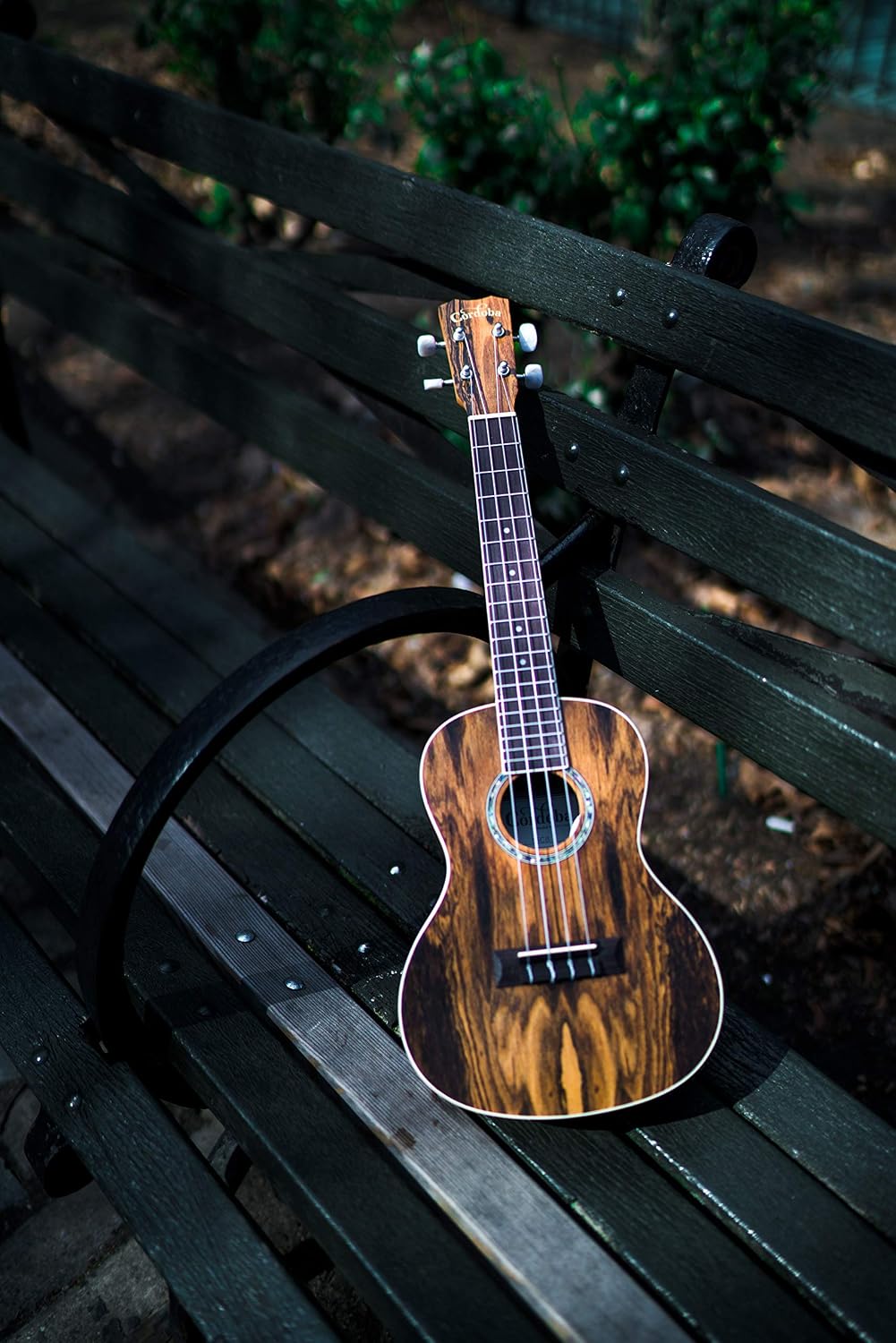 Cordoba 15CB Concert Ukelele Bocote