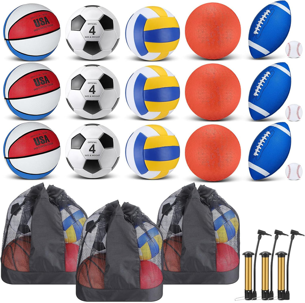 Leyndo 18 Pcs Sports Ball Set for Kids, Official Size Basketball Football Soccer Ball Playground Volleyball Baseball Outdoor Sport Equipment Bag and Pump Back to School Gift