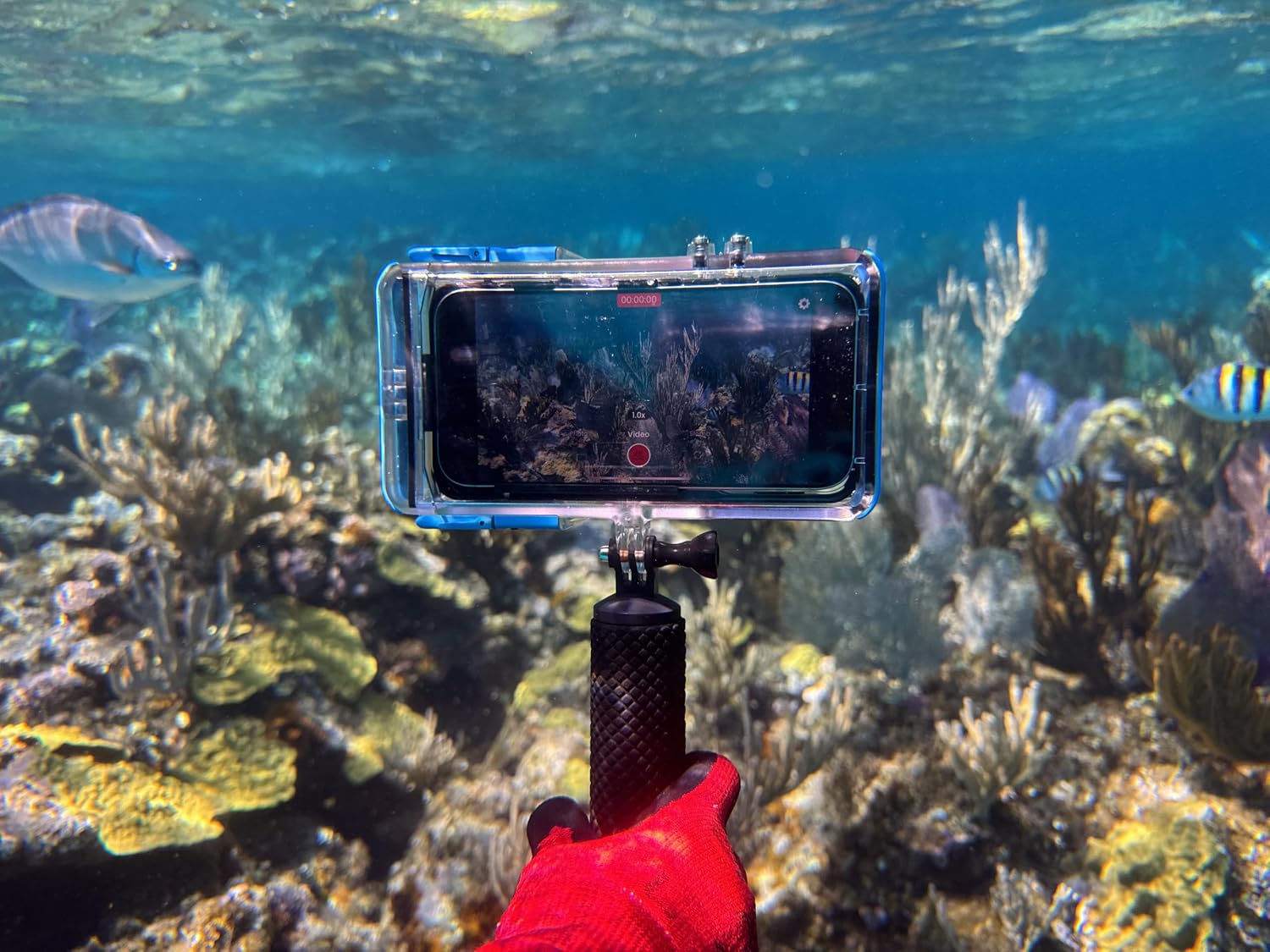 ProShot Dive 2.0 – Waterproof iPhone Housing, Rated to 130 ft, Compatible with All iPhones, Underwater Camera Case for Diving and Snorkeling. (Fits All iPhones Including 17 Pro & 17 Pro Max)