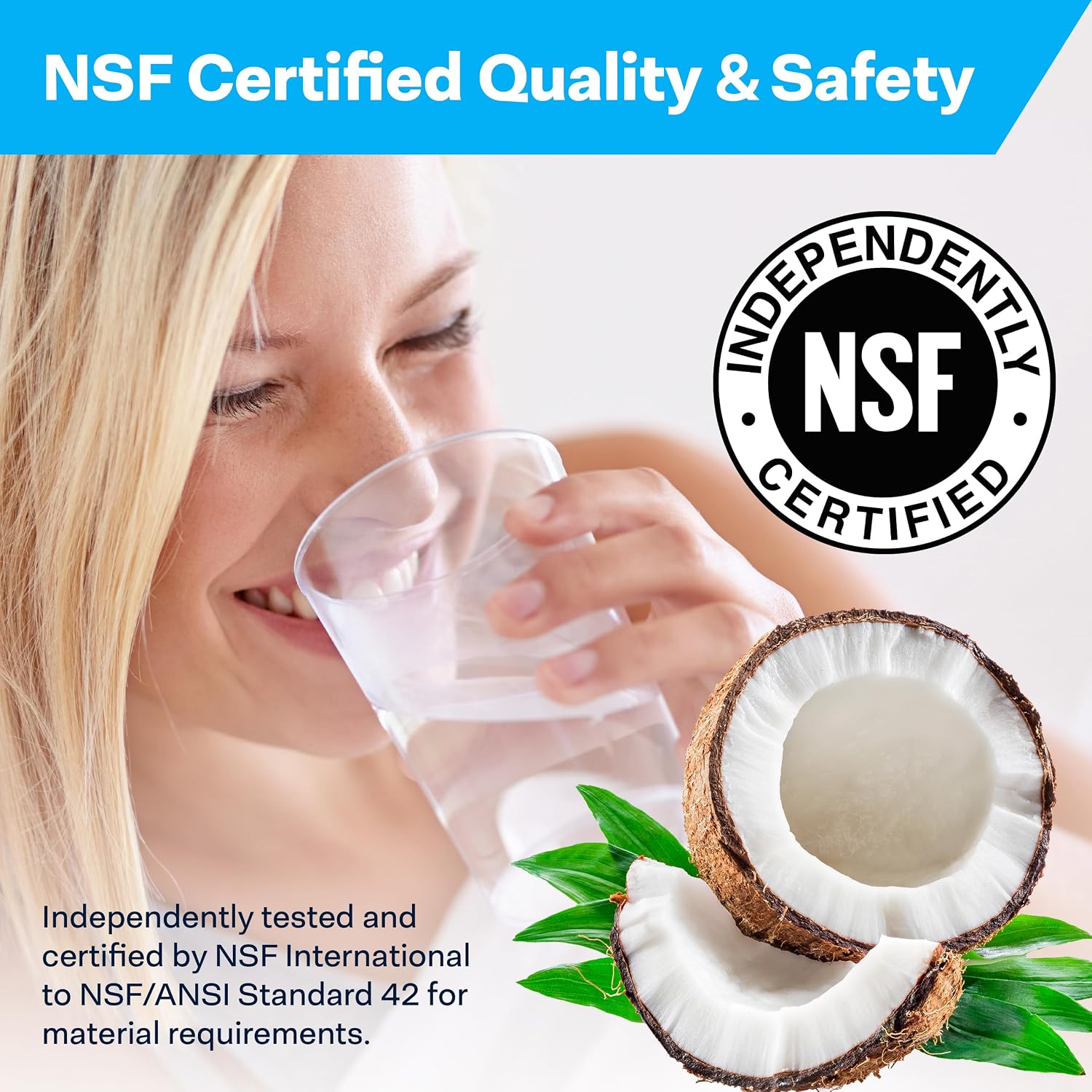 SpiroPure SP-EPM-BB 10x4.5 10 Micron NSF Certified Coconut Shell Carbon Block Water Filter Cartridge EPM-BB 155782-43 CB-45-1010 (Case of 6)