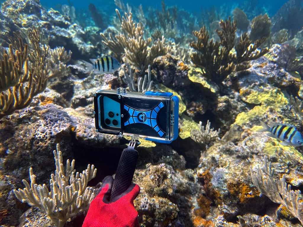 ProShot Dive 2.0 – Waterproof iPhone Housing, Rated to 130 ft, Compatible with All iPhones, Underwater Camera Case for Diving and Snorkeling. (Fits All iPhones Including 17 Pro & 17 Pro Max)