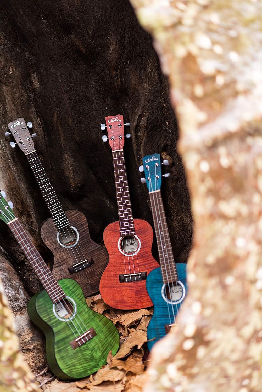Cordoba 15CFM Granite Grey Flamed Mahogany Concert Ukulele